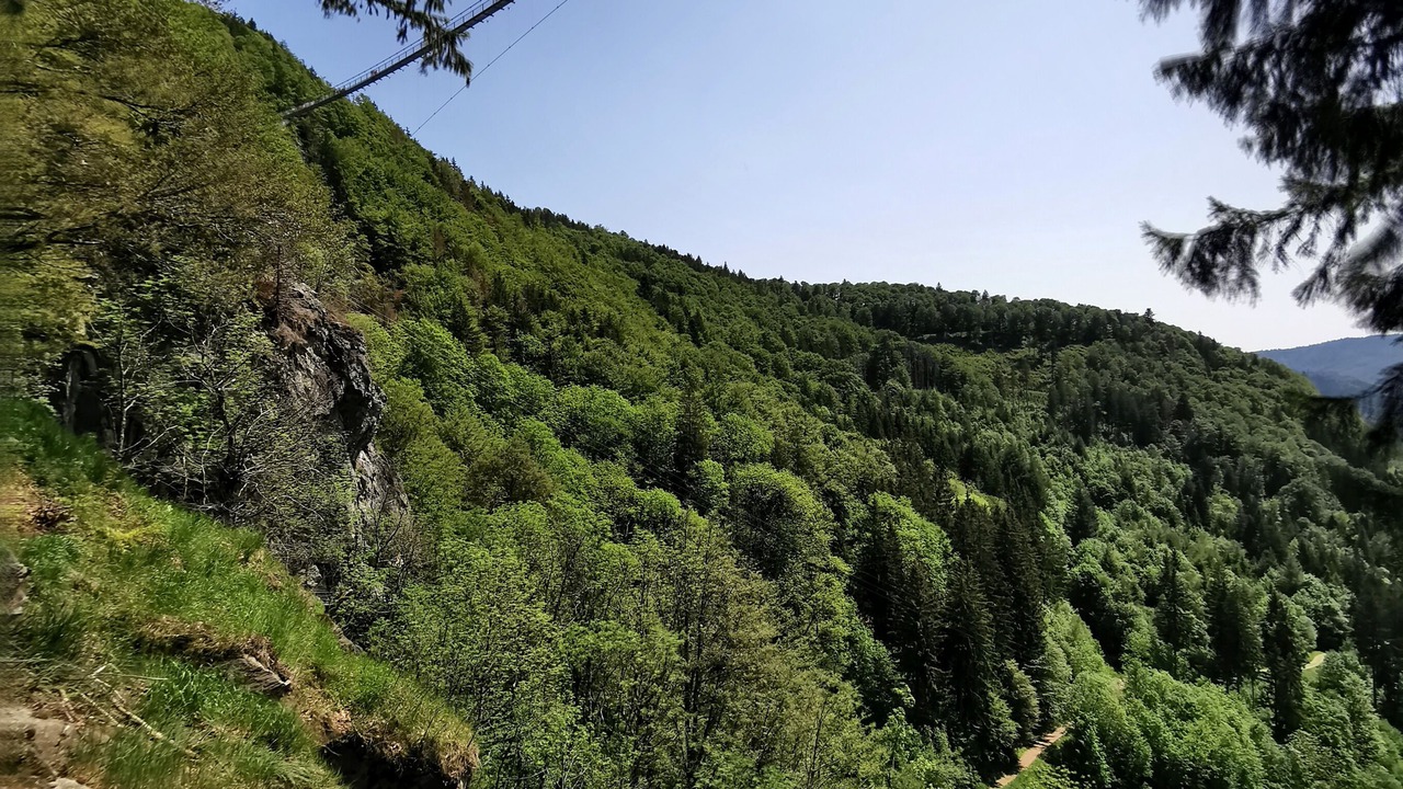 Photo of Others in Todtnauberg