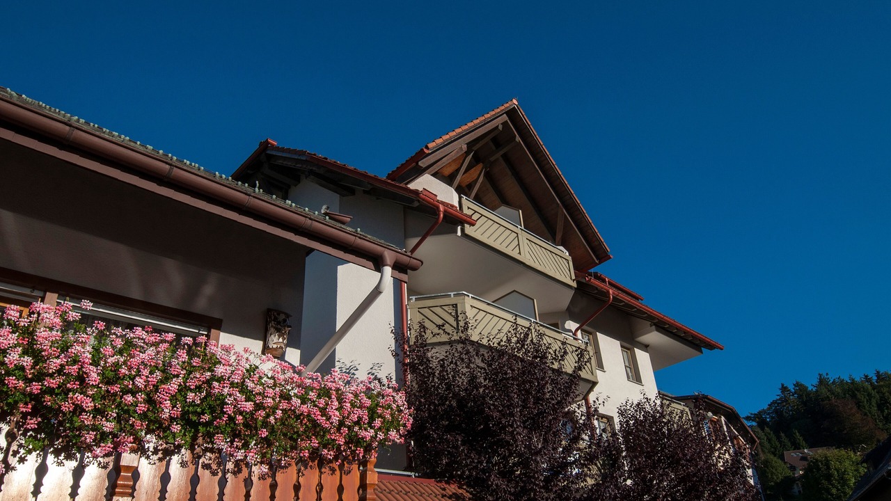 Photo of Outdoor in Todtnauberg