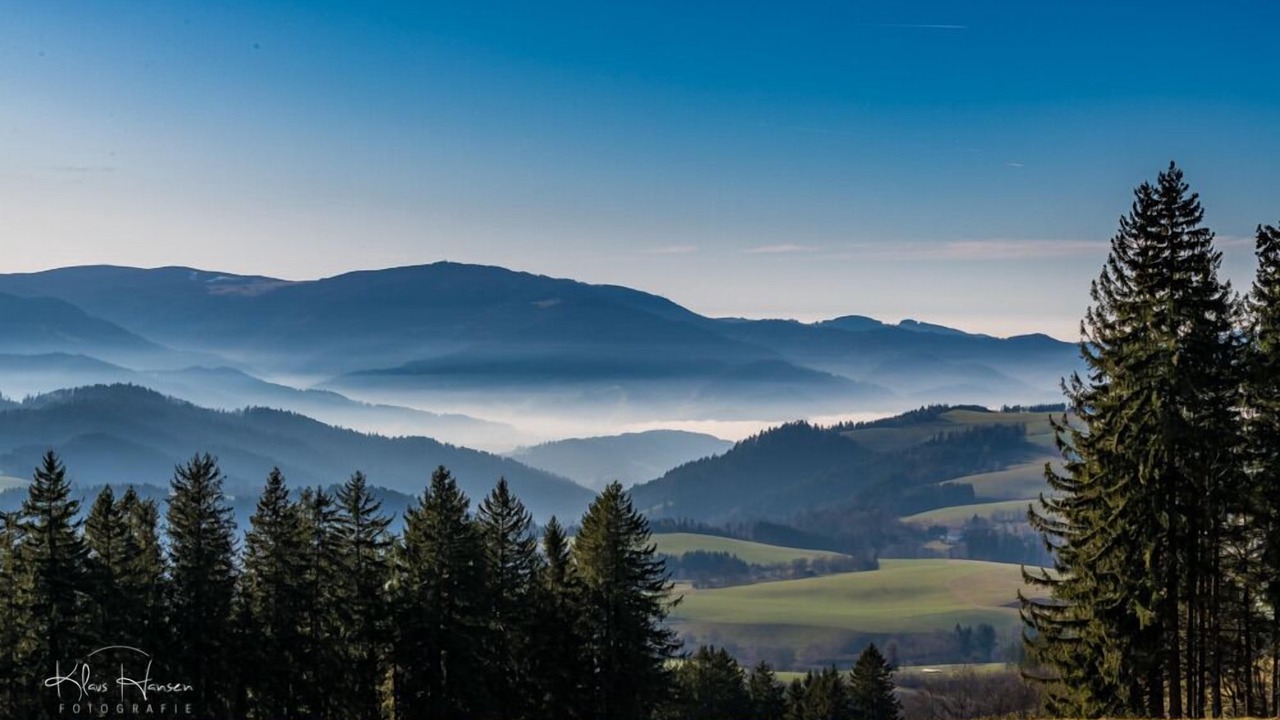Photo of Others in Todtnauberg