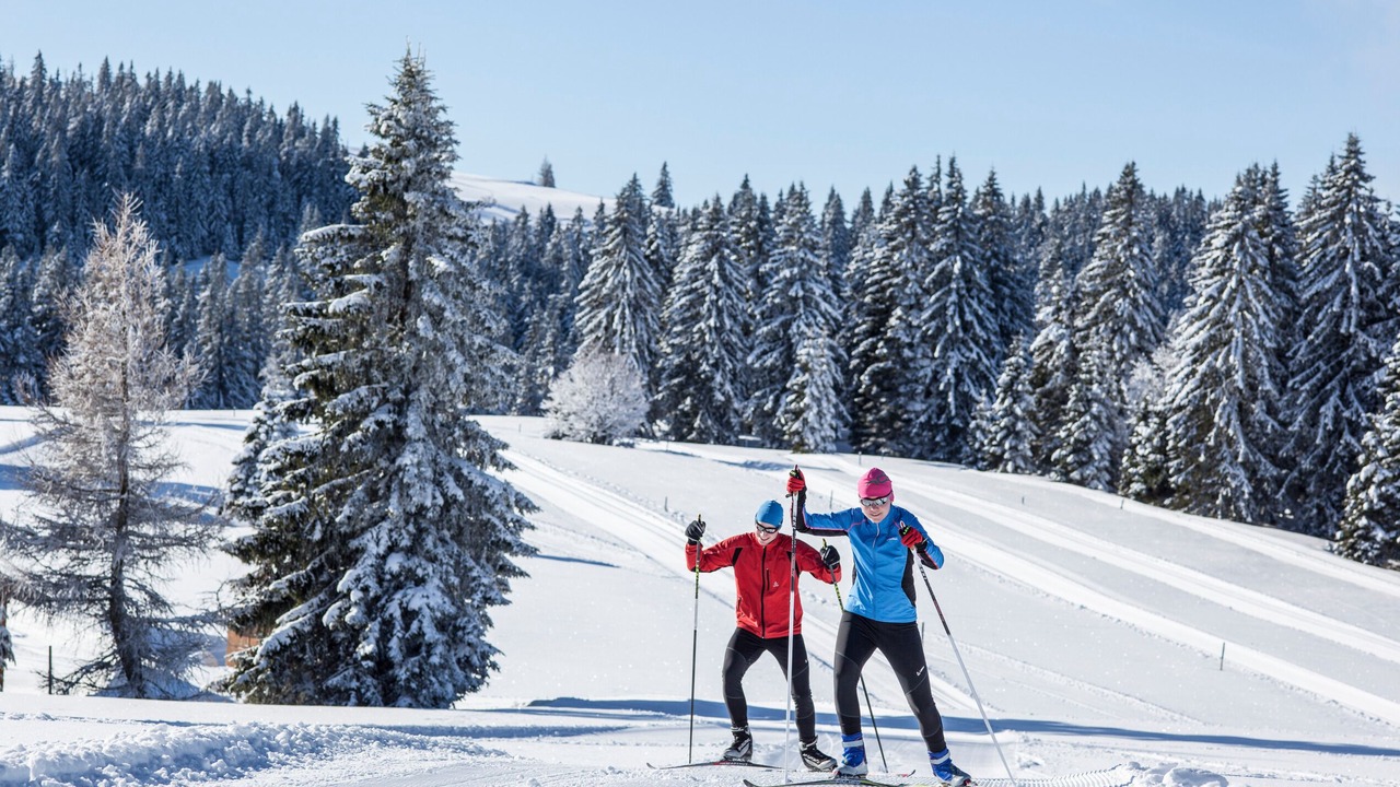 Photo of Others in Todtnauberg