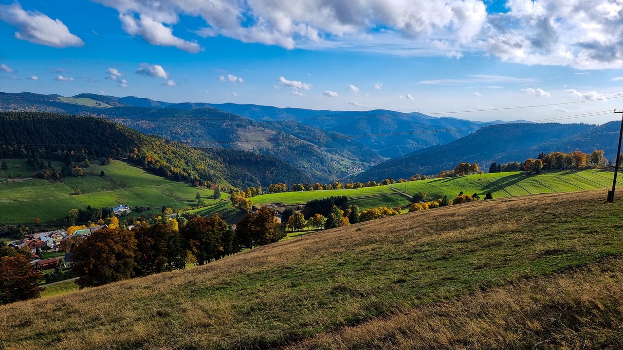 Photo of Outdoor in Todtnauberg