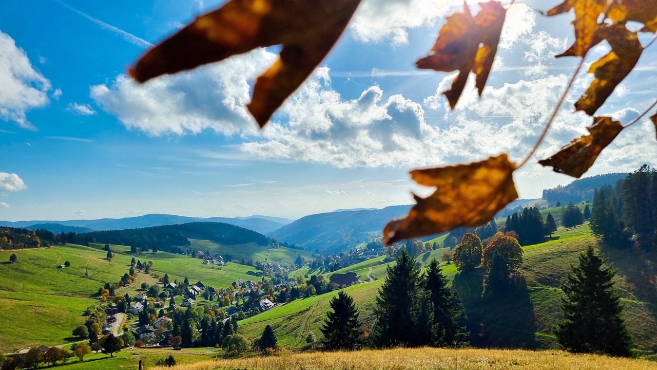 Photo of Outdoor in Todtnauberg