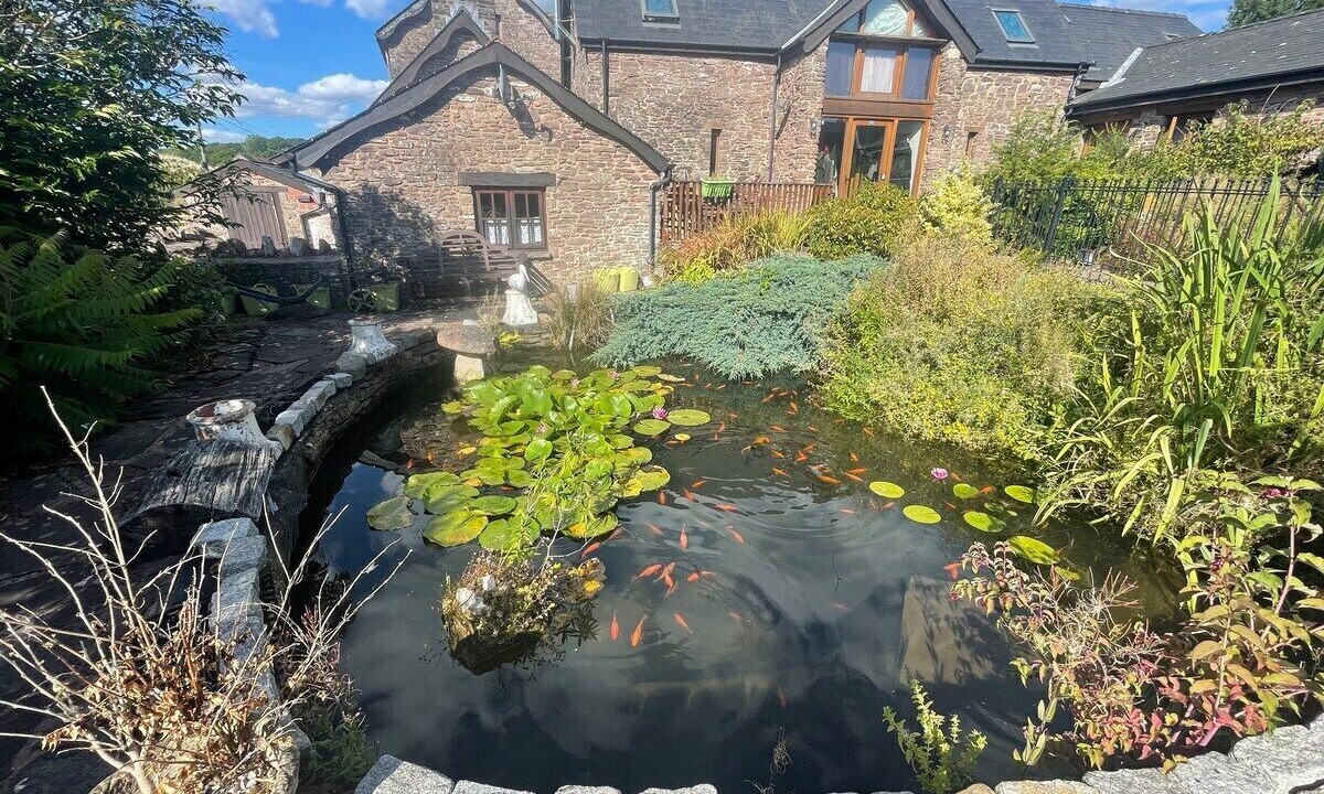 Photo of Outdoor in Usk