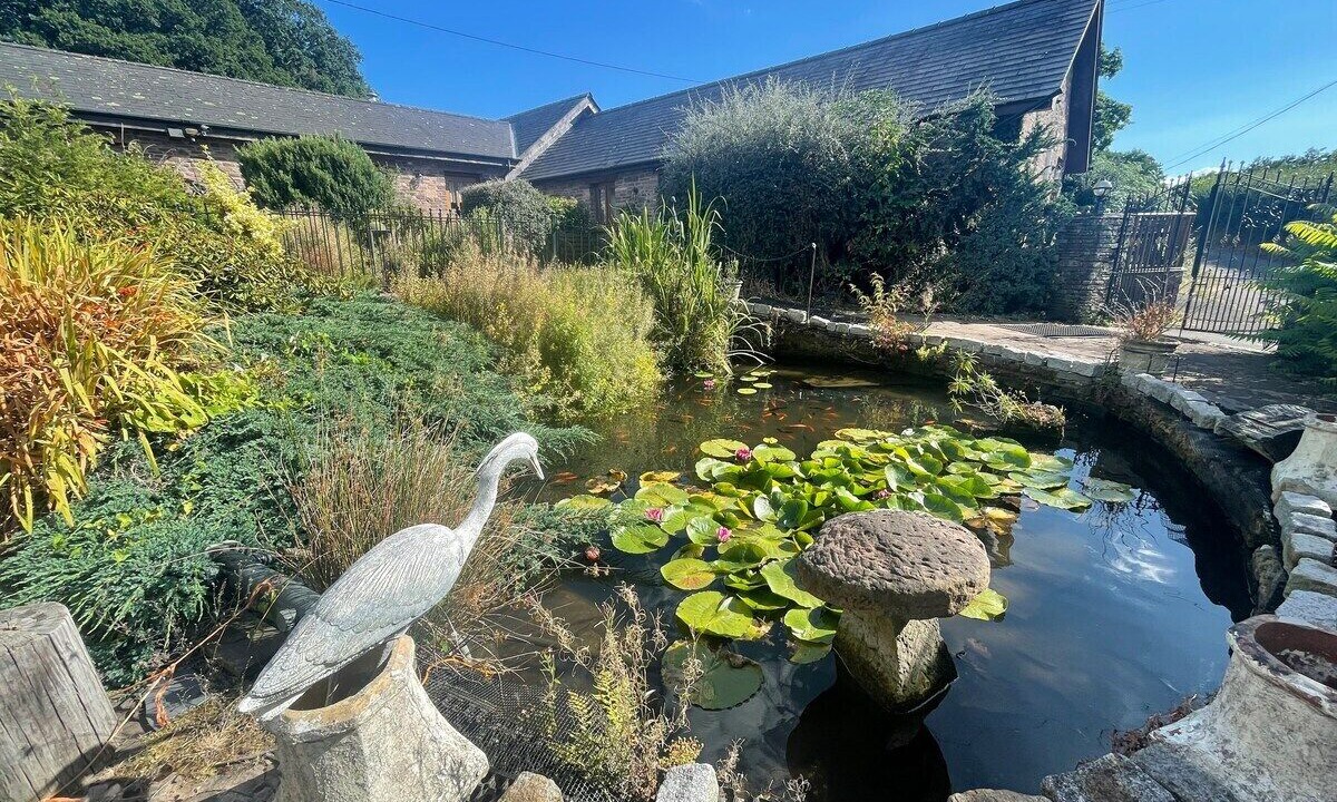 Photo of Outdoor in Usk
