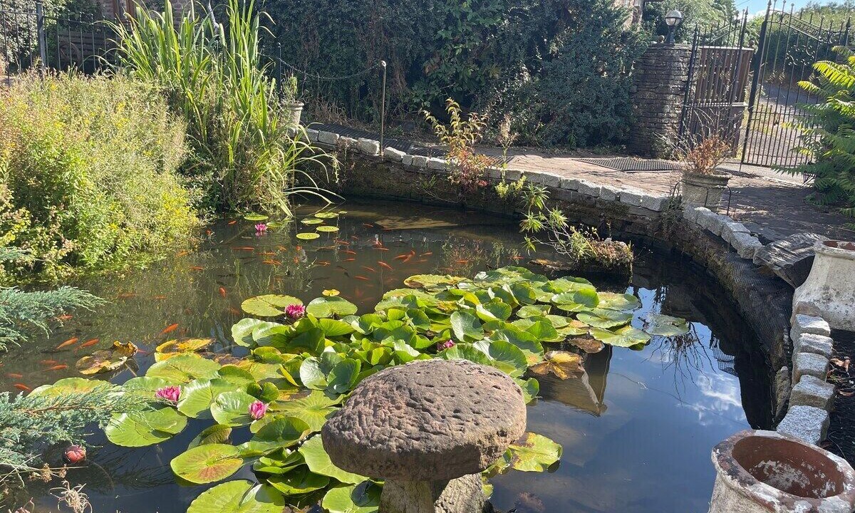 Photo of Outdoor in Usk