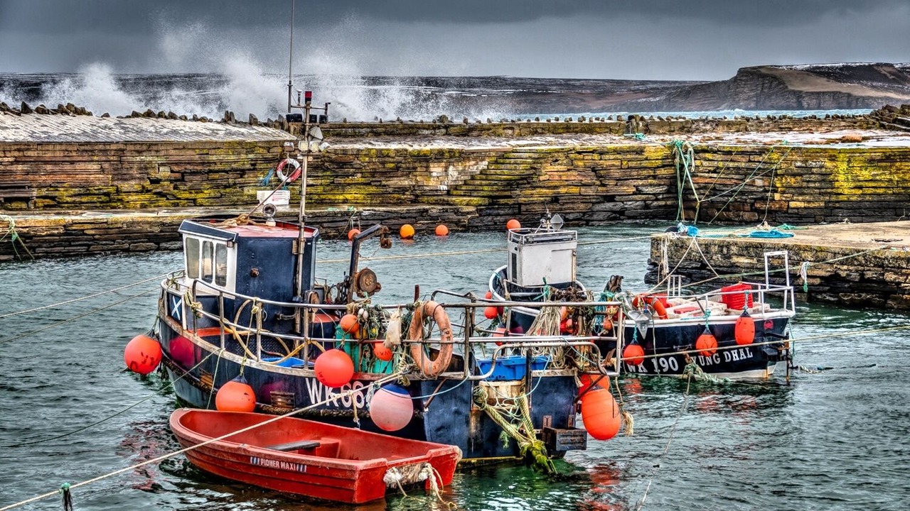 Photo of Others in Thurso