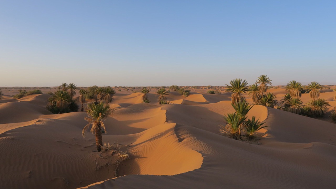 Photo of Outdoor in M'Hamid El Ghizlane