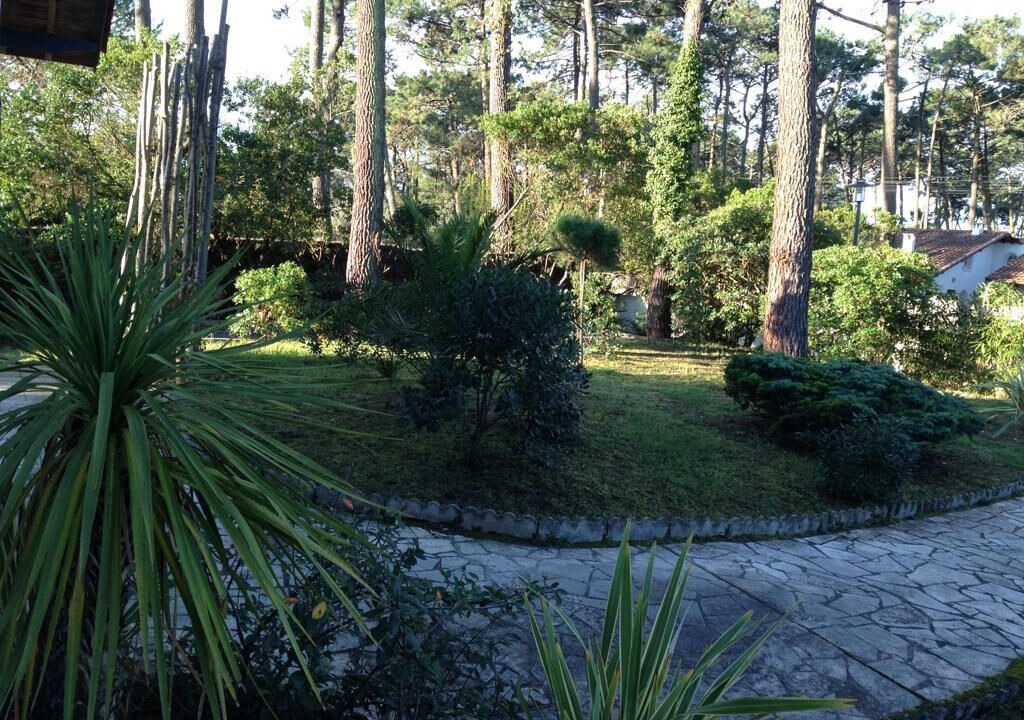 Photo of Outdoor in Piraillan