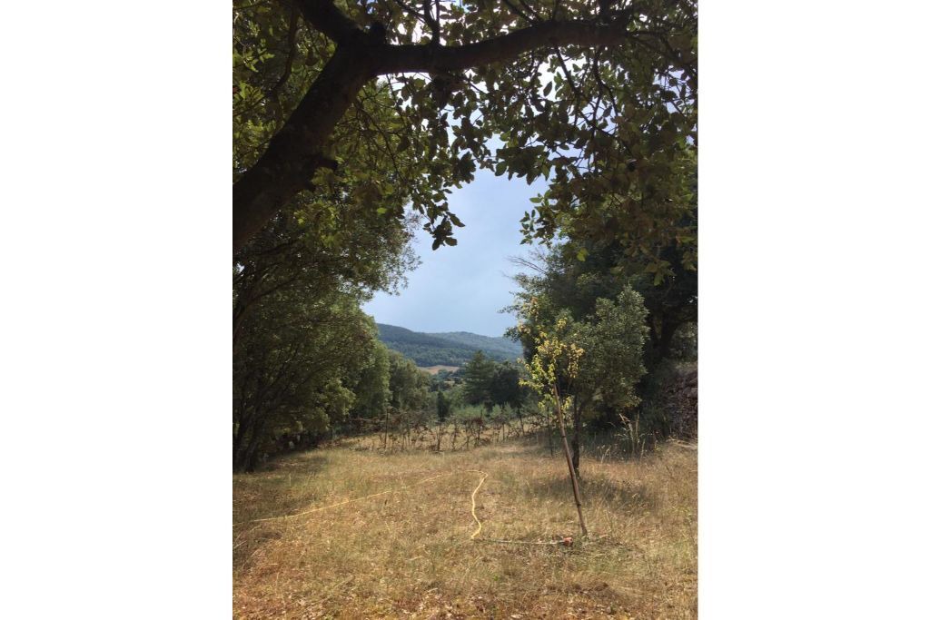 Photo of Others in Albieres
