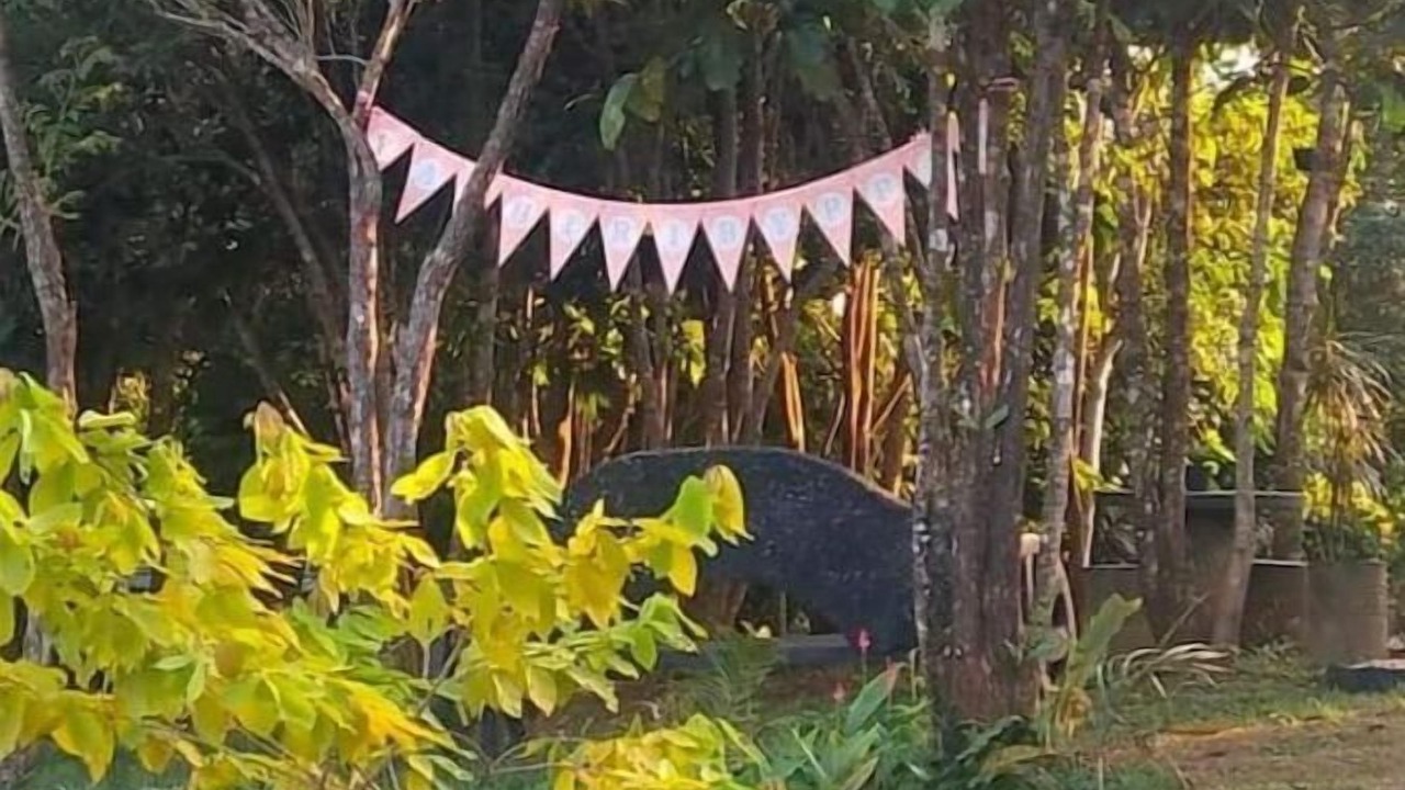 Photo of Outdoor in Cavinti