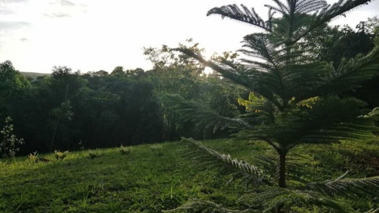 Photo of Outdoor in Cavinti