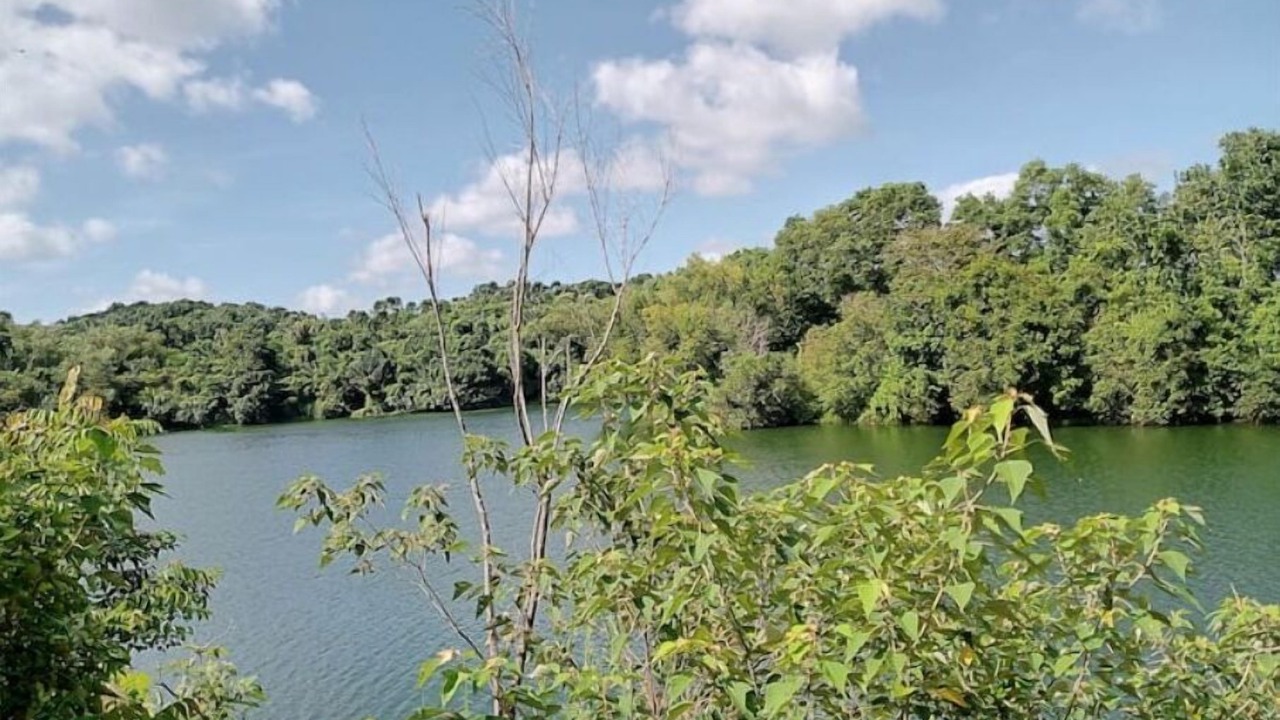 Photo of Outdoor in Cavinti