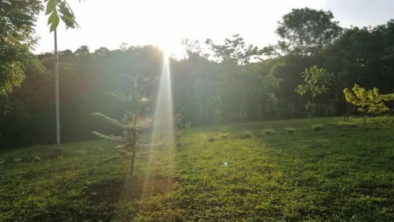 Photo of Outdoor in Cavinti