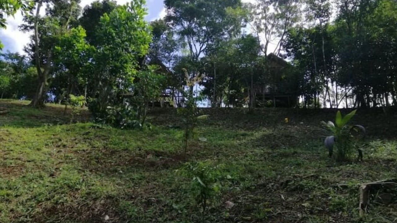 Photo of Outdoor in Cavinti