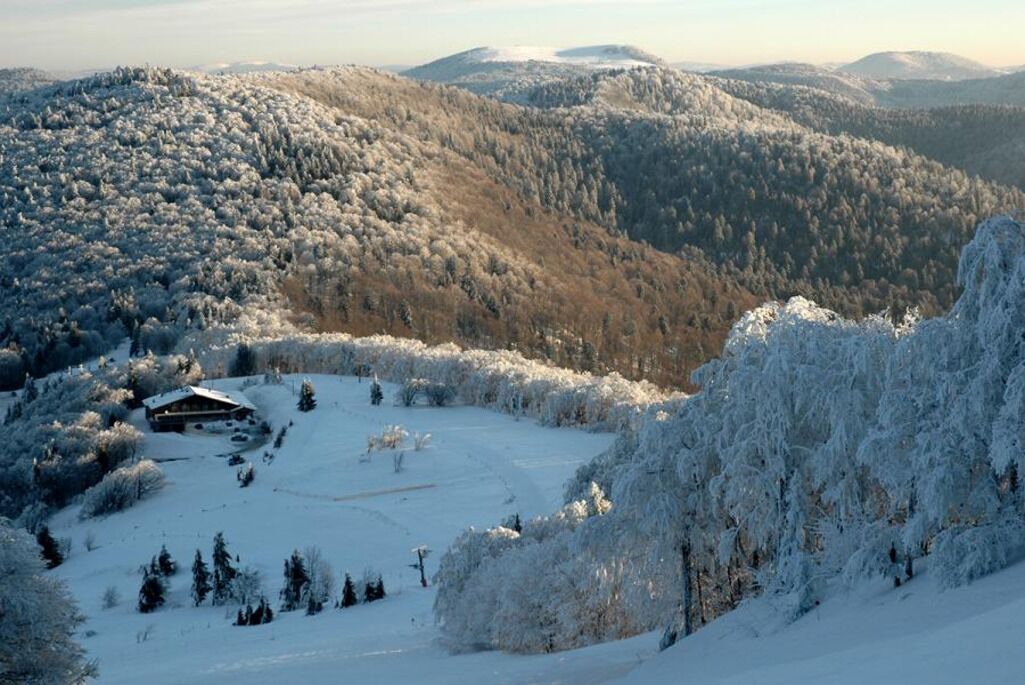 Photo of Others in Plancher-Bas
