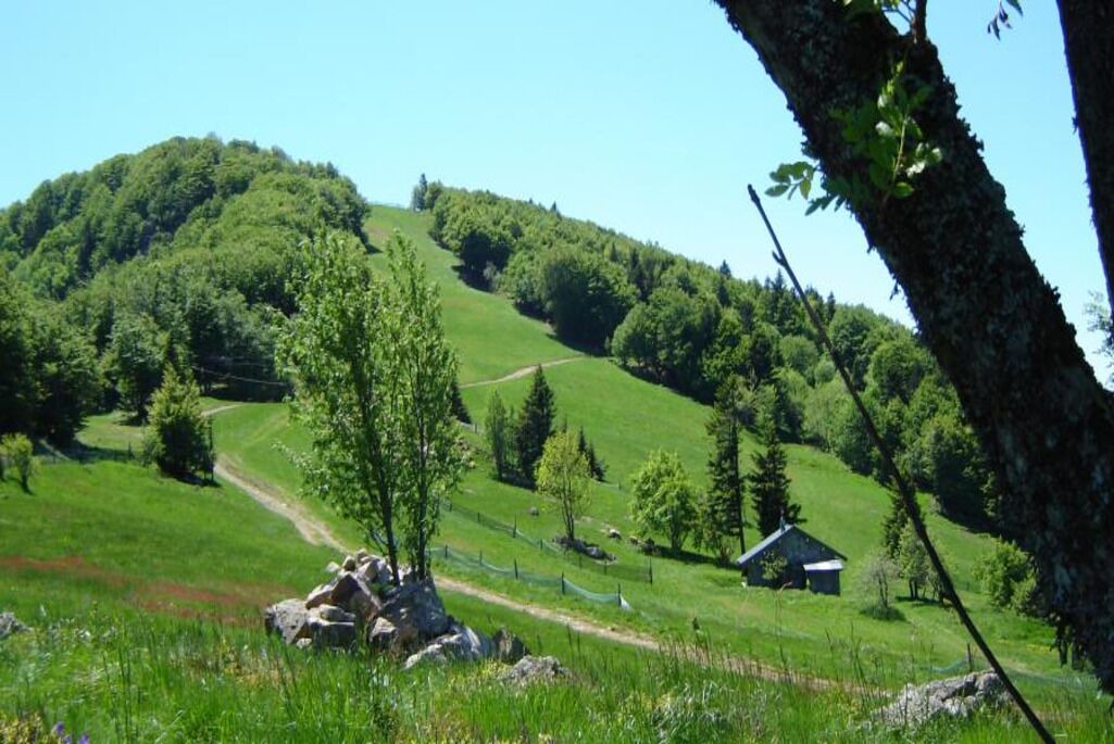 Photo of Others in Plancher-Bas