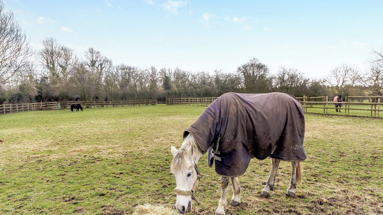Photo of Others in Old Somerby