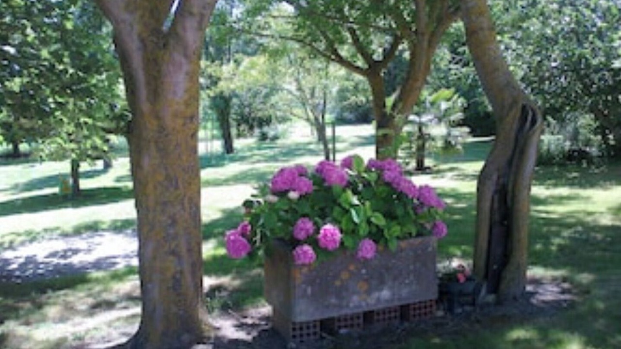 Photo of Outdoor in Saint-Gauderic