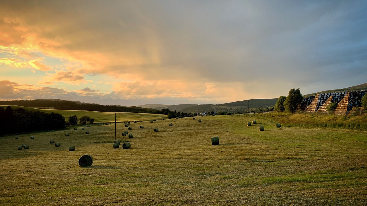 Photo of Others in Aberlour