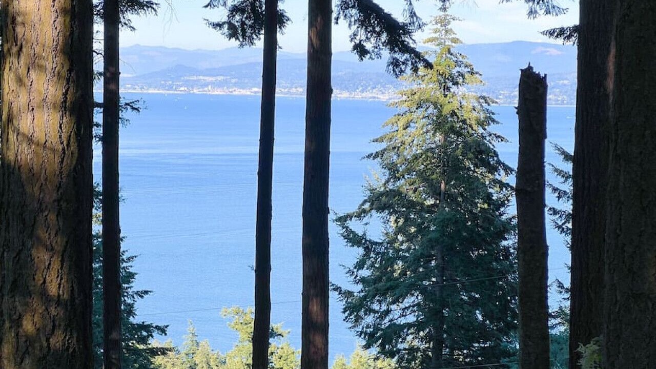 Photo of Others in Lummi Island