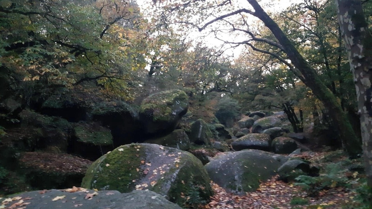 Photo of Others in Huelgoat