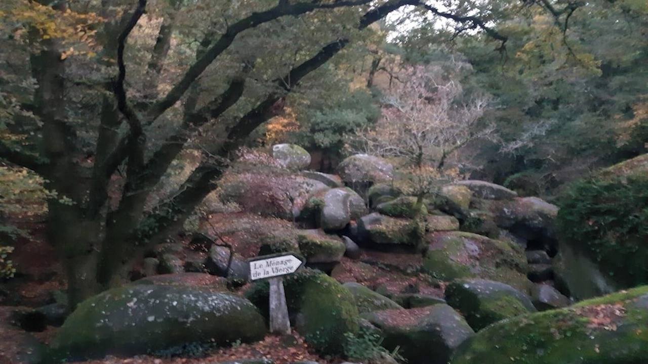 Photo of Others in Huelgoat