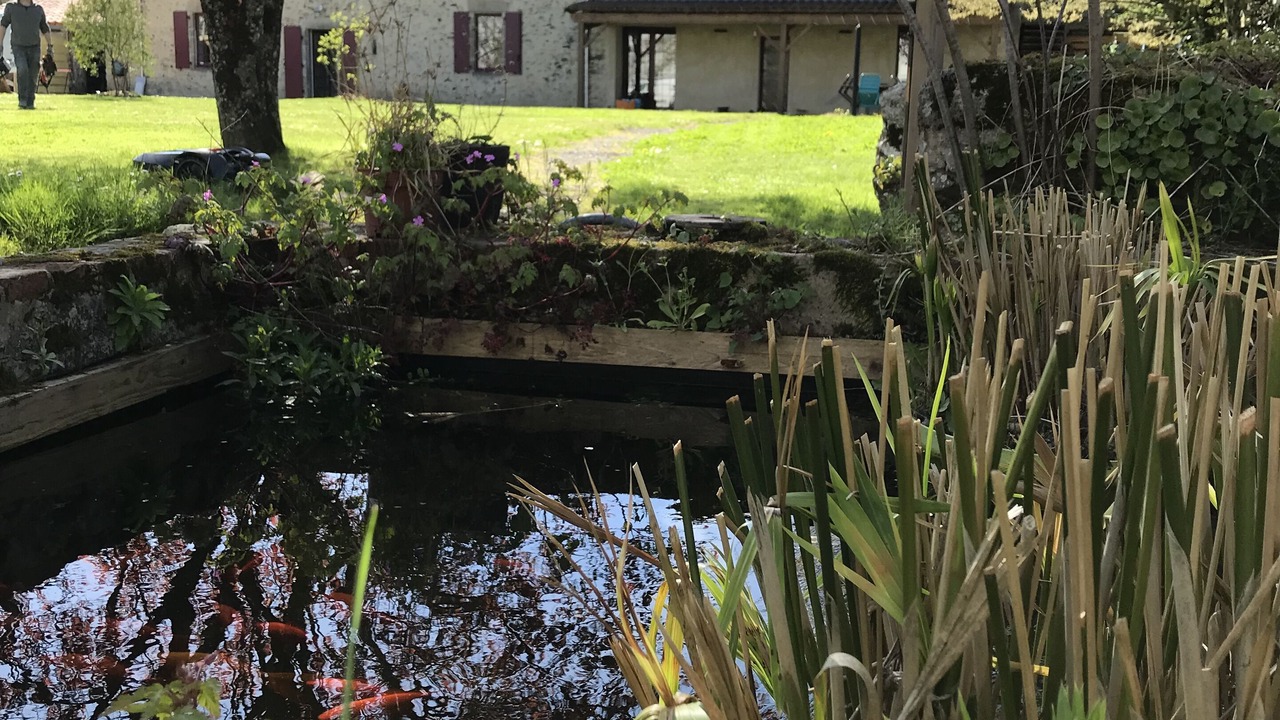 Photo of Outdoor in La Copechagniere