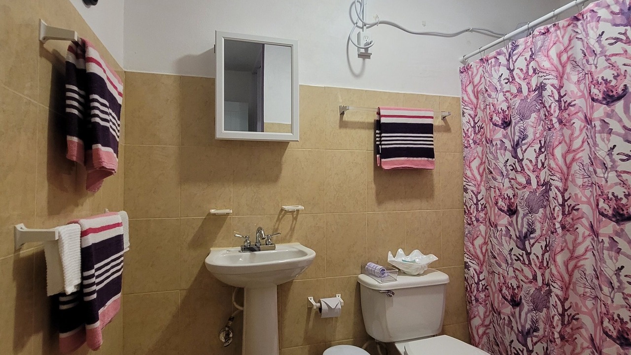 Photo of Bathroom in Coto