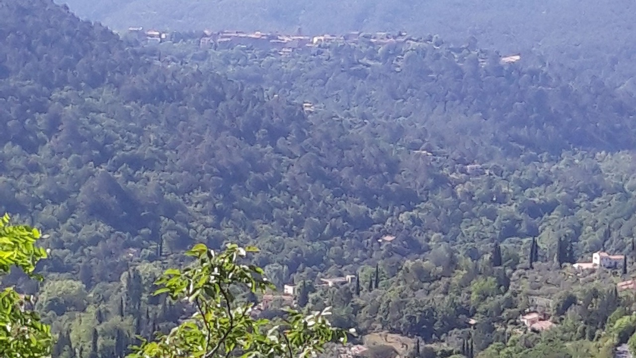 Photo of Others in Bargemon