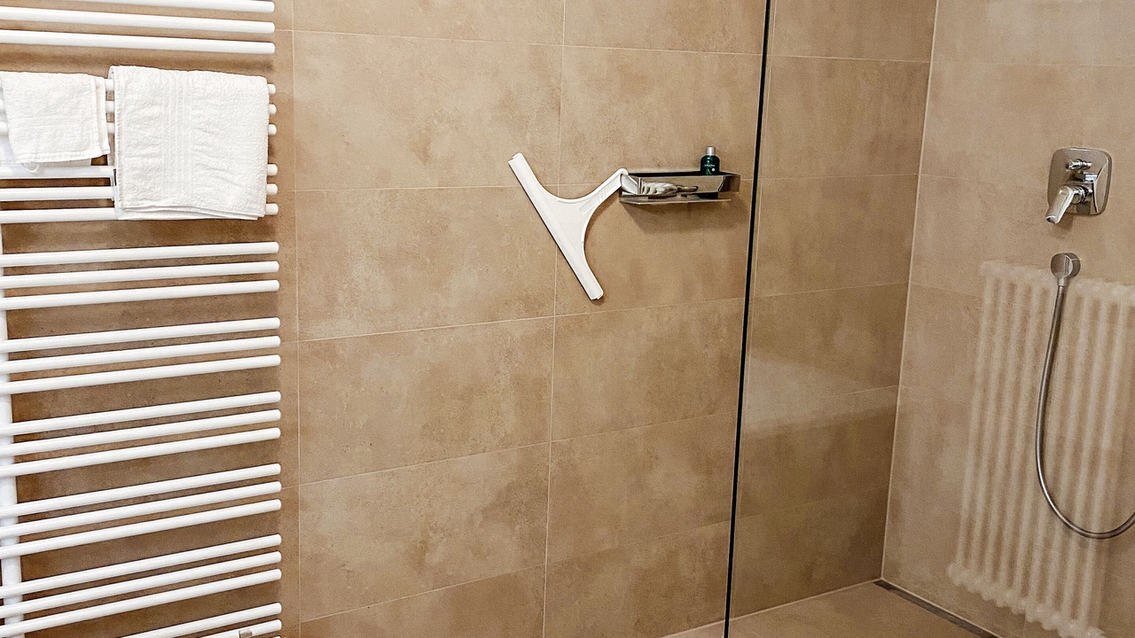 Photo of Bathroom in Reichenau