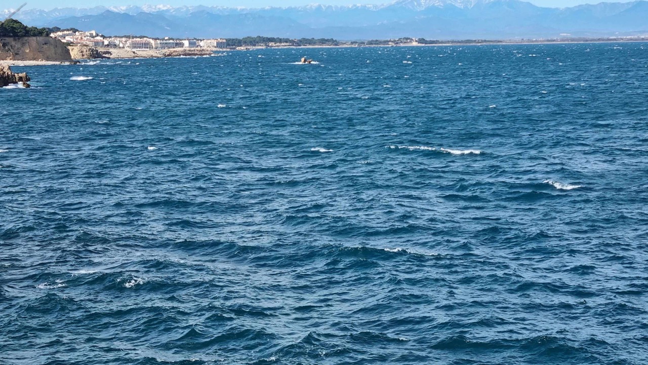 Photo of Others in L'Escala