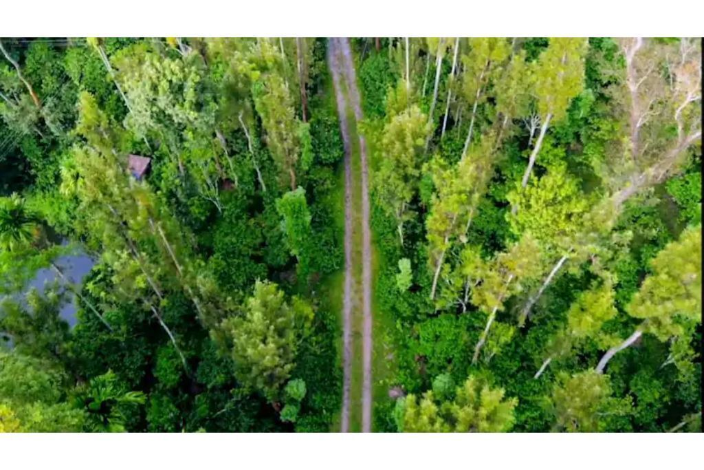 Photo of Outdoor in Thirunelly