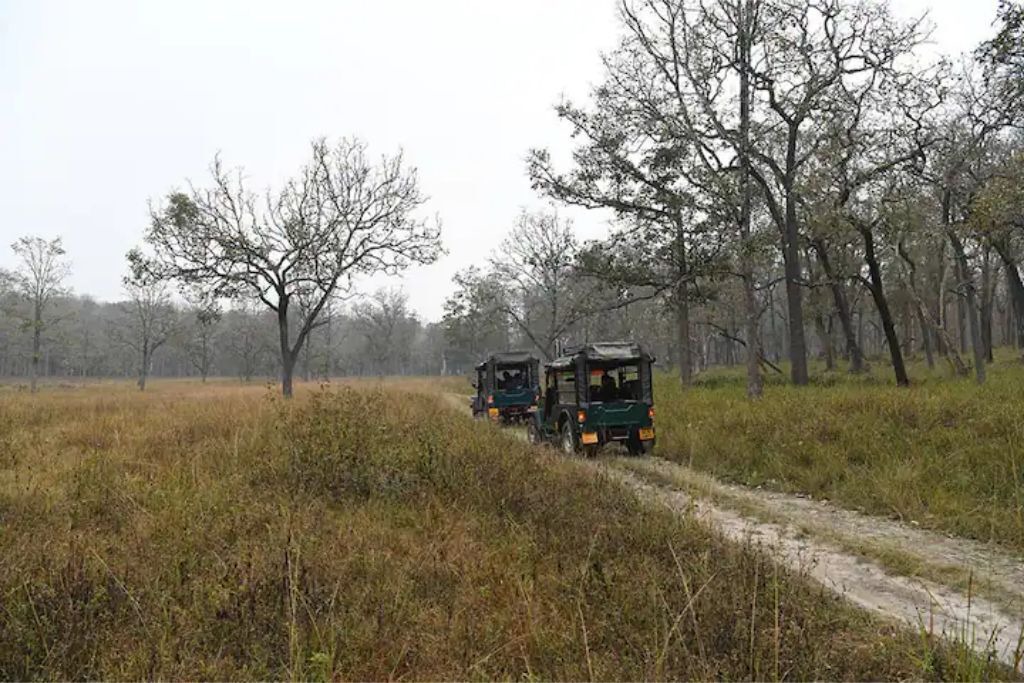 Photo of Outdoor in Thirunelly