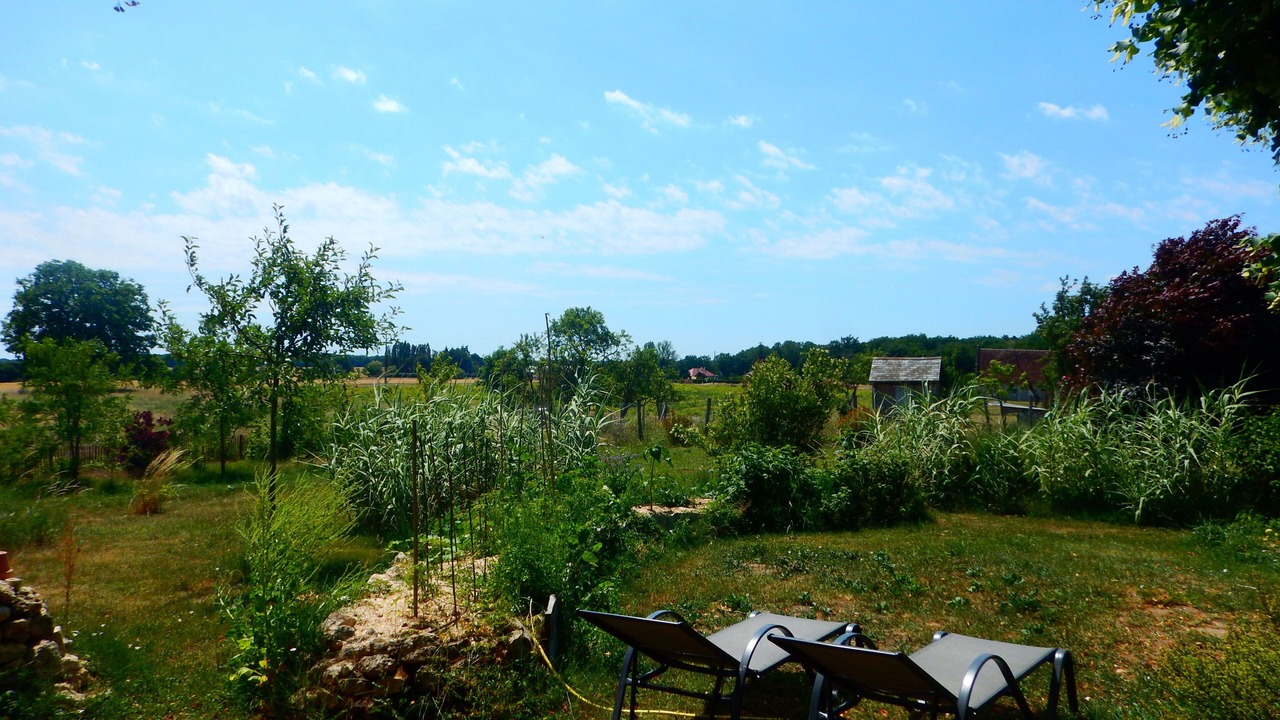 Photo of Outdoor in Thenay