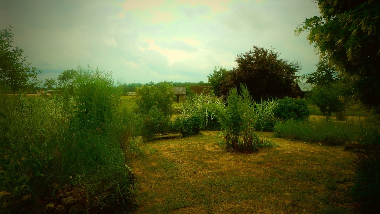 Photo of Outdoor in Thenay