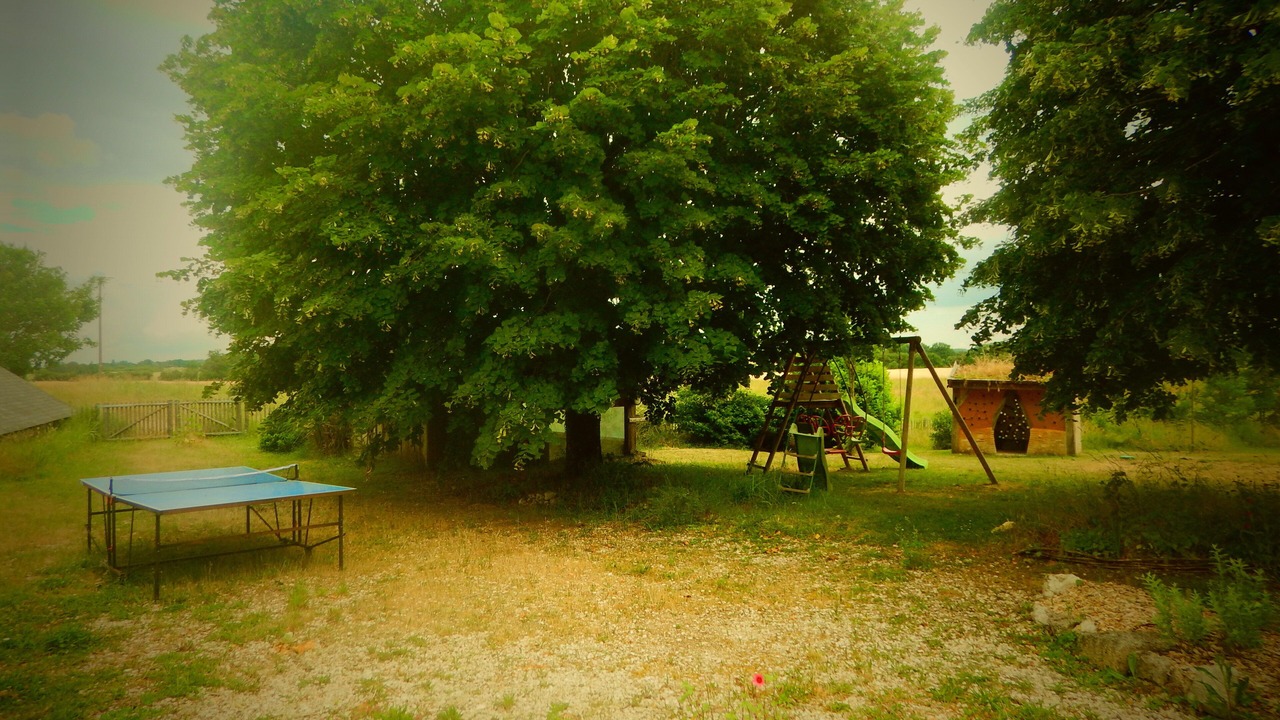 Photo of Outdoor in Thenay