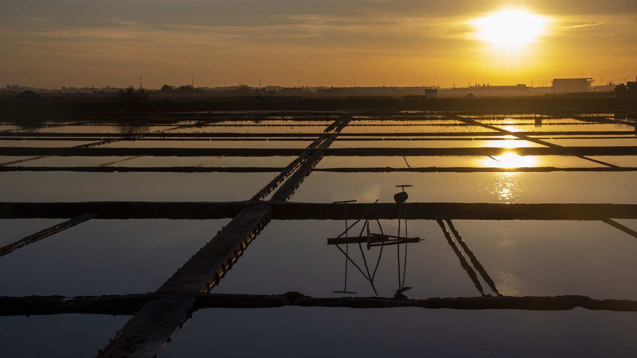 Photo of Others in Aveiro