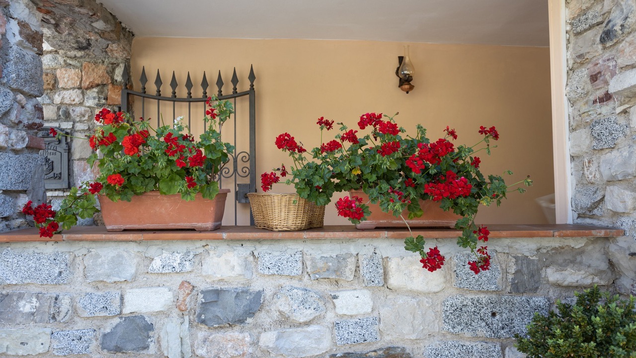 Photo of Outdoor in Vesio