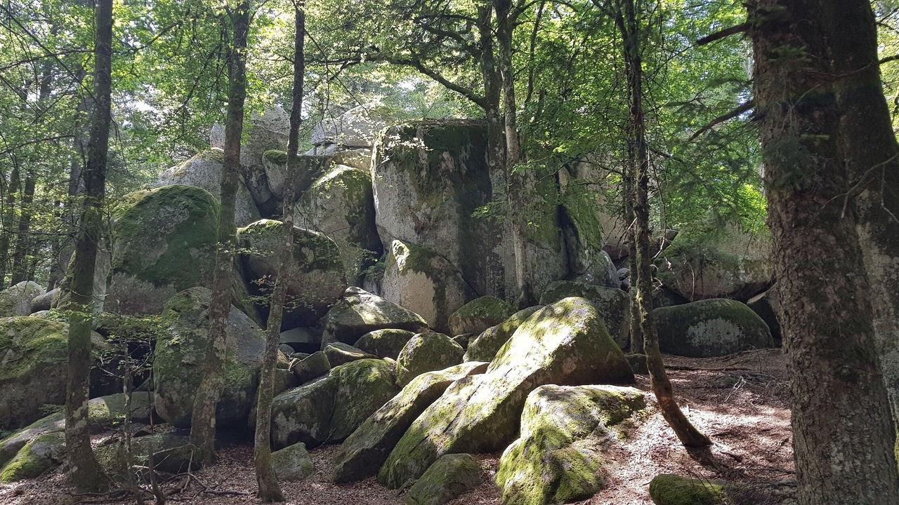 Photo of Others in Furtwangen