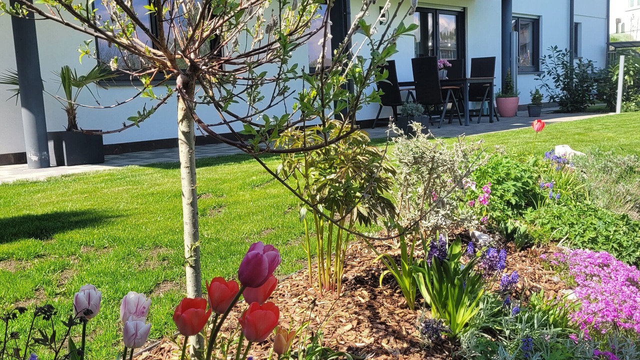 Photo of Outdoor in Furtwangen