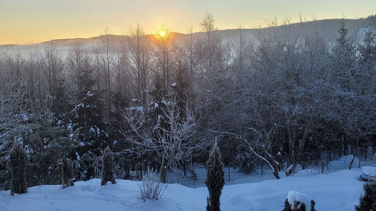 Photo of Others in Furtwangen