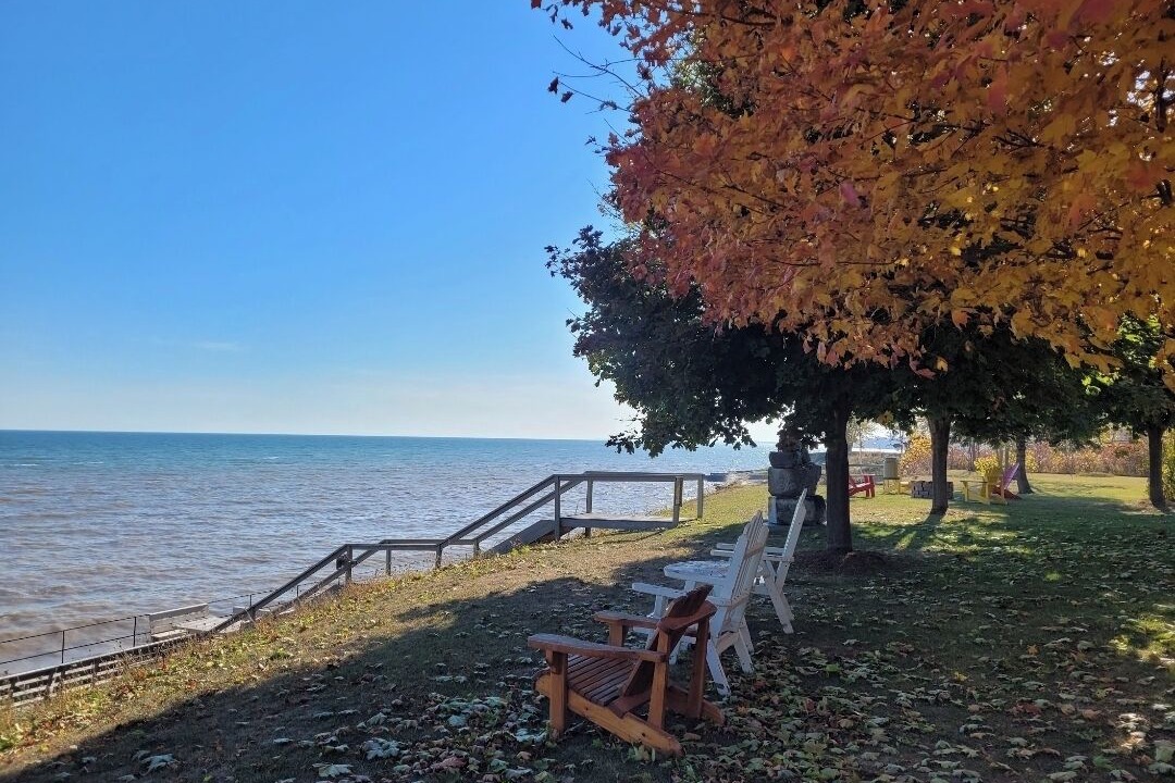 Photo of Outdoor in Romney