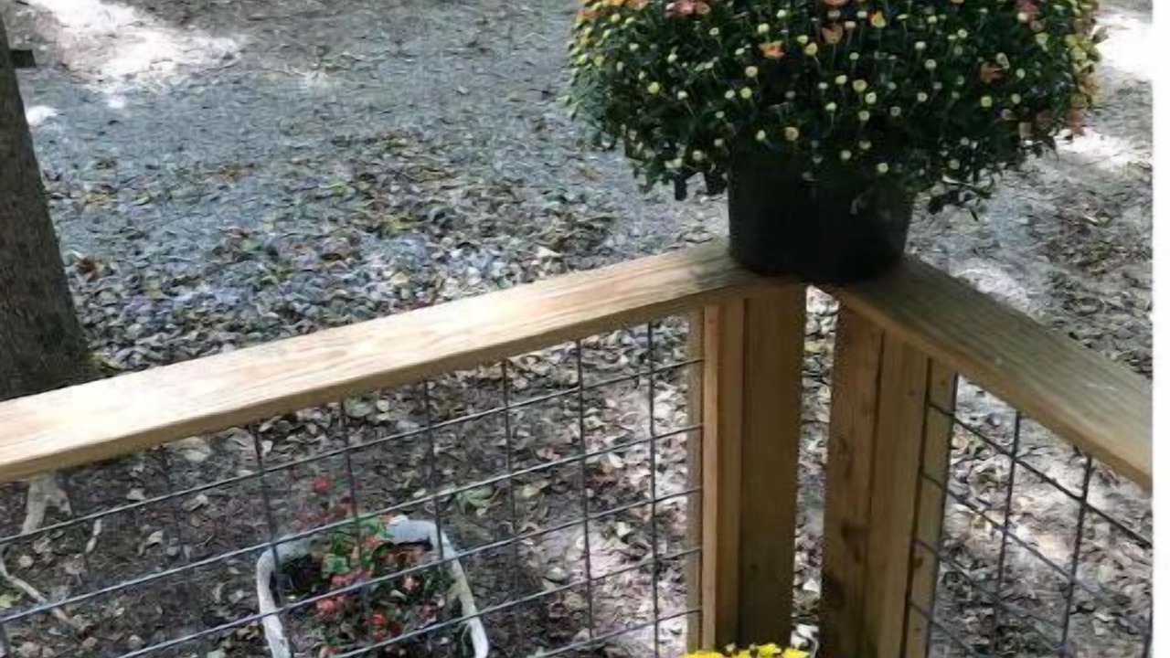 Photo of Patio Balcony in Makanda