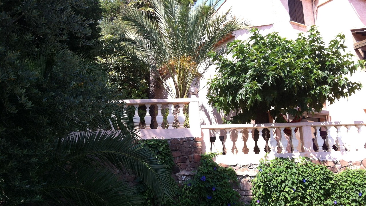 Photo of Outdoor in Antheor
