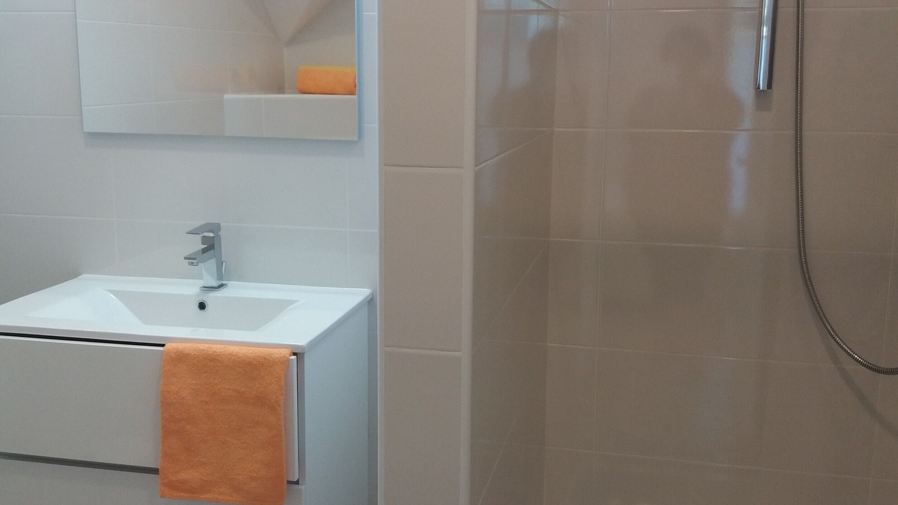 Photo of Bathroom in Srednja Vas v Bohinju