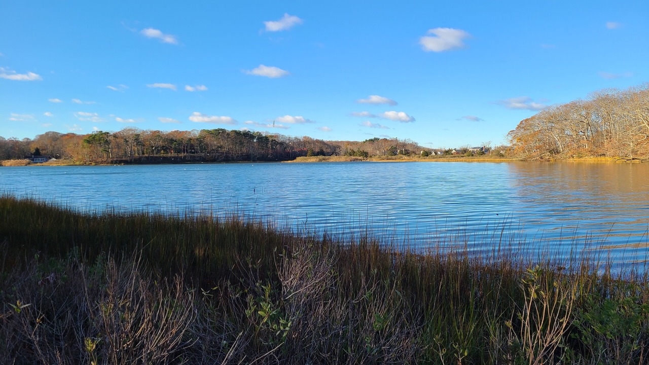 Photo of Others in Southold