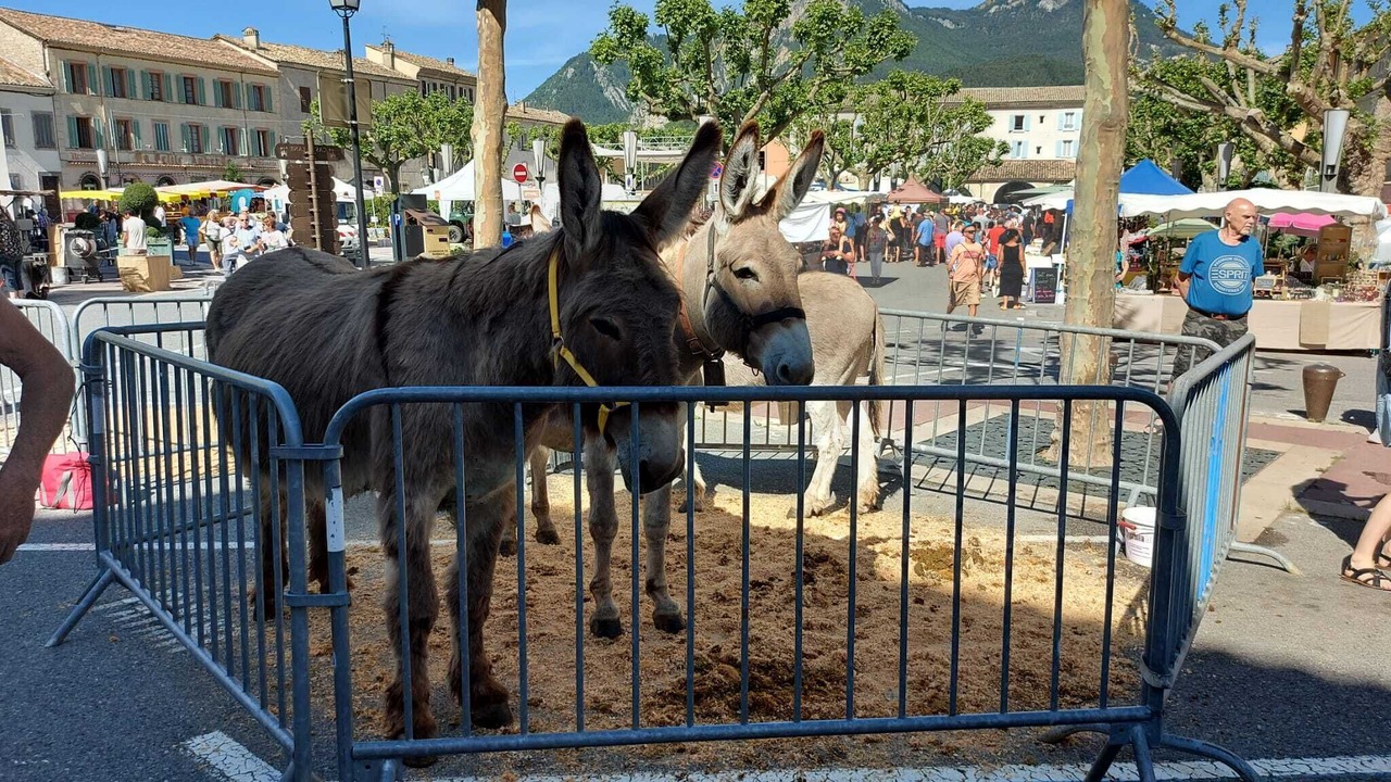 Photo of Others in Castellane
