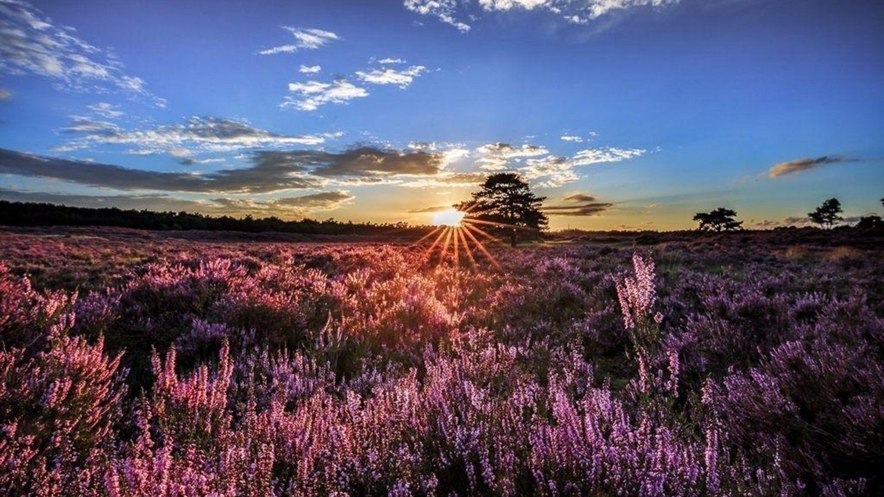 Photo of Outdoor in Municipality of Harderwijk
