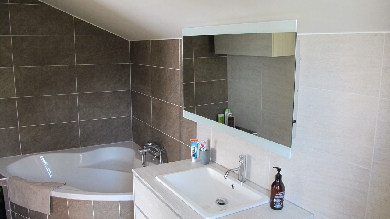 Photo of Bathroom in Chernex
