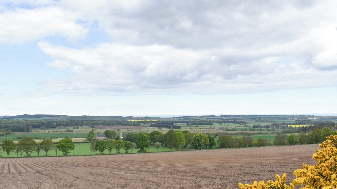 Photo of Others in Elgin
